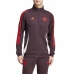 Bayern Munich Bench Training Presentation Soccer Tracksuit 2024-25