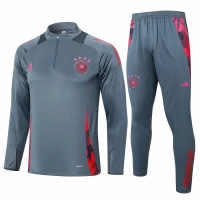 Germany Grey Training Technical Soccer Tracksuit 2024-25